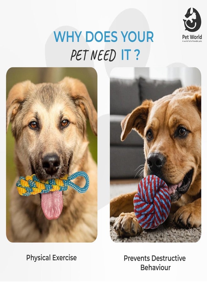 PET WORLD Dog Toys | Dog Chew Toys + Puppy Teething Toys + Rope Toys + Toys for Small to Medium Dog | Washable Cotton Toys | Multi Colour Toys (Pack of 5) - Image 2